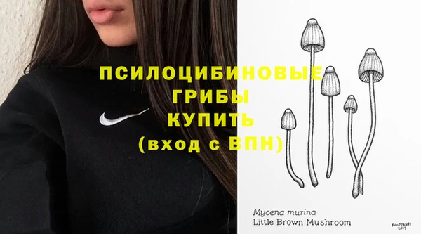 мяу мяу мука Алексеевка