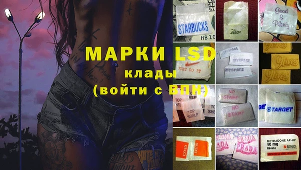спиды Алзамай